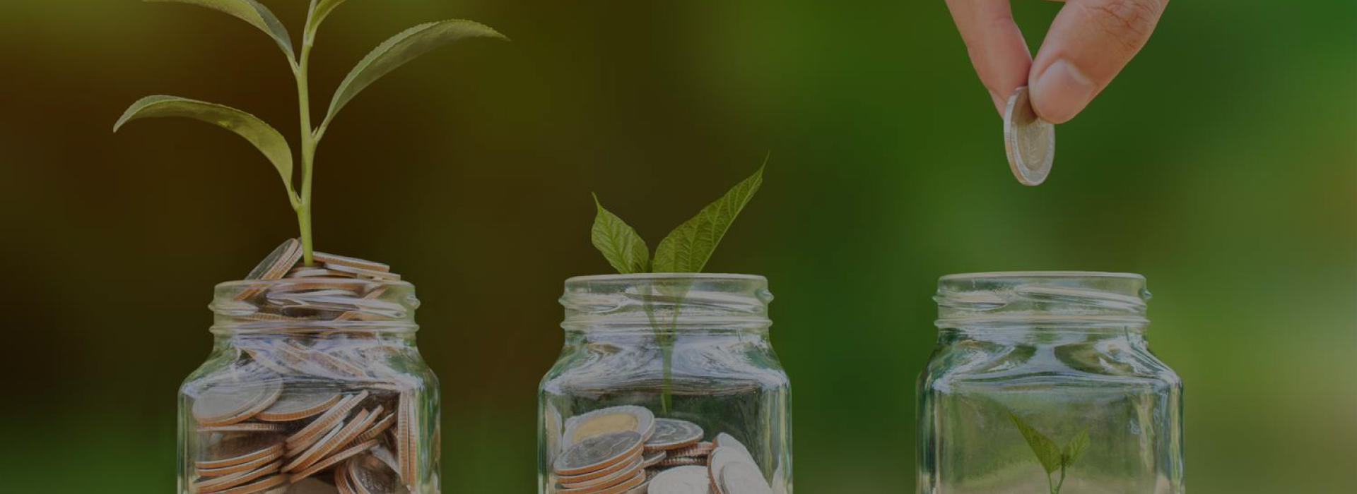 Your Dream investment starts from here